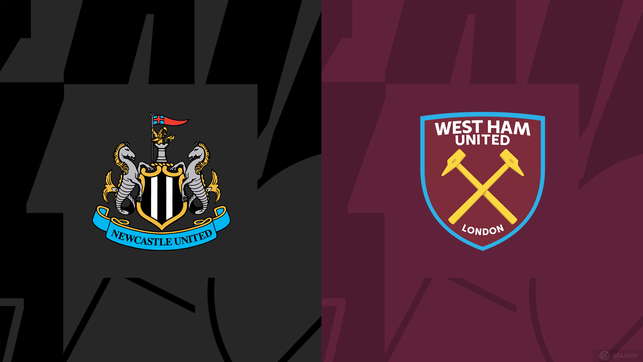 引入雲尼斯 引入雲尼斯